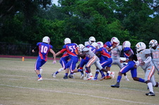Enlarge photo 54