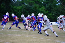 Enlarge photo 55