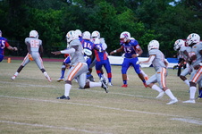 Enlarge photo 57