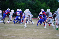 Enlarge photo 61