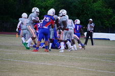 Enlarge photo 62