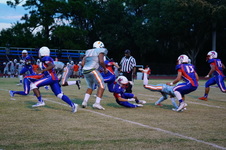 Enlarge photo 84