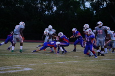 Enlarge photo 95