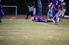 Enlarge photo 119