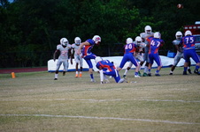 Enlarge photo 166