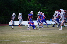 Enlarge photo 169
