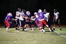Enlarge photo 51