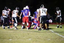 Enlarge photo 56