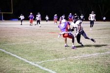 Enlarge photo 75