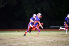 Enlarge photo 111