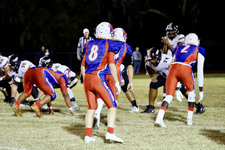 Enlarge photo 114