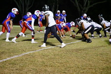 Enlarge photo 128