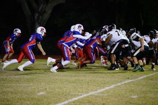 Enlarge photo 141