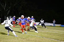 Enlarge photo 157