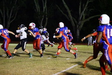 Enlarge photo 239
