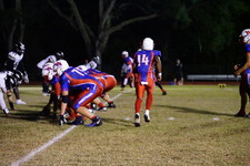 Enlarge photo 243