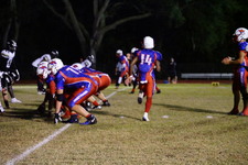 Enlarge photo 245