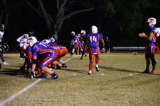Enlarge photo 247