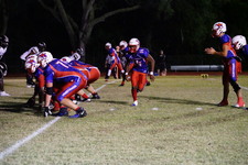 Enlarge photo 246