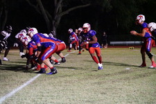 Enlarge photo 252
