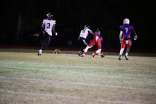 Enlarge photo 313