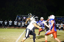 Enlarge photo 333