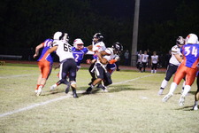 Enlarge photo 341