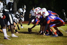 Enlarge photo 445