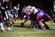 Enlarge photo 446