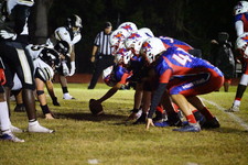 Enlarge photo 448