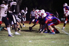 Enlarge photo 449