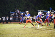 Enlarge photo 593