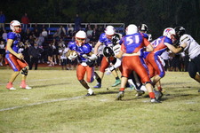 Enlarge photo 629