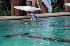 Enlarge photo 48