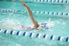 Enlarge photo 55