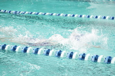 Enlarge photo 54