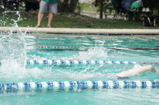 Enlarge photo 57
