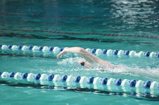 Enlarge photo 59