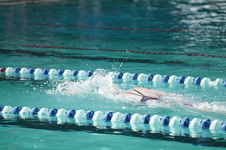 Enlarge photo 60