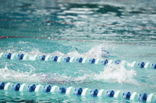 Enlarge photo 64