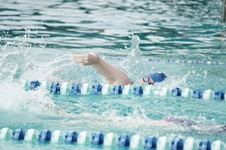 Enlarge photo 65