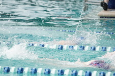 Enlarge photo 67