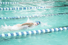 Enlarge photo 77