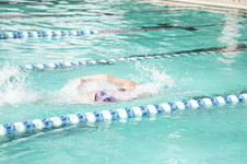 Enlarge photo 80