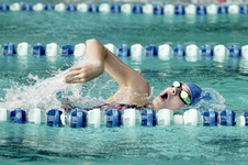 Enlarge photo 81