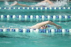 Enlarge photo 83