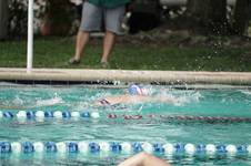 Enlarge photo 85
