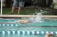 Enlarge photo 84