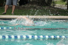 Enlarge photo 86