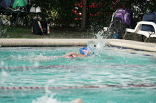 Enlarge photo 87
